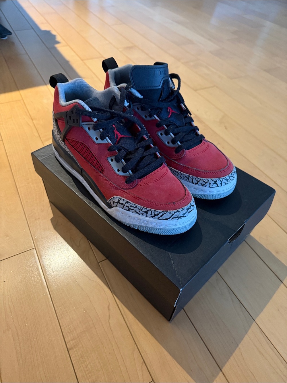 Jordan spizike low